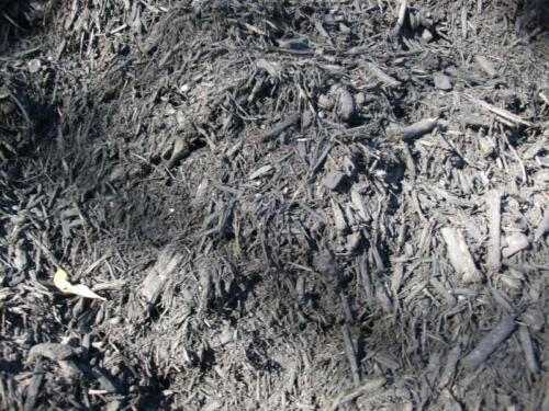 Color Enhanced Black Texas Hardwood Mulch (by Special Order only)