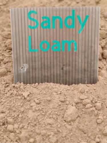 Sandy Loam